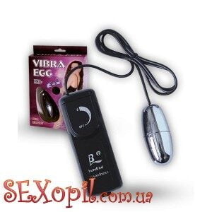 (BI0001) Вибратор Silver Vibrating Egg